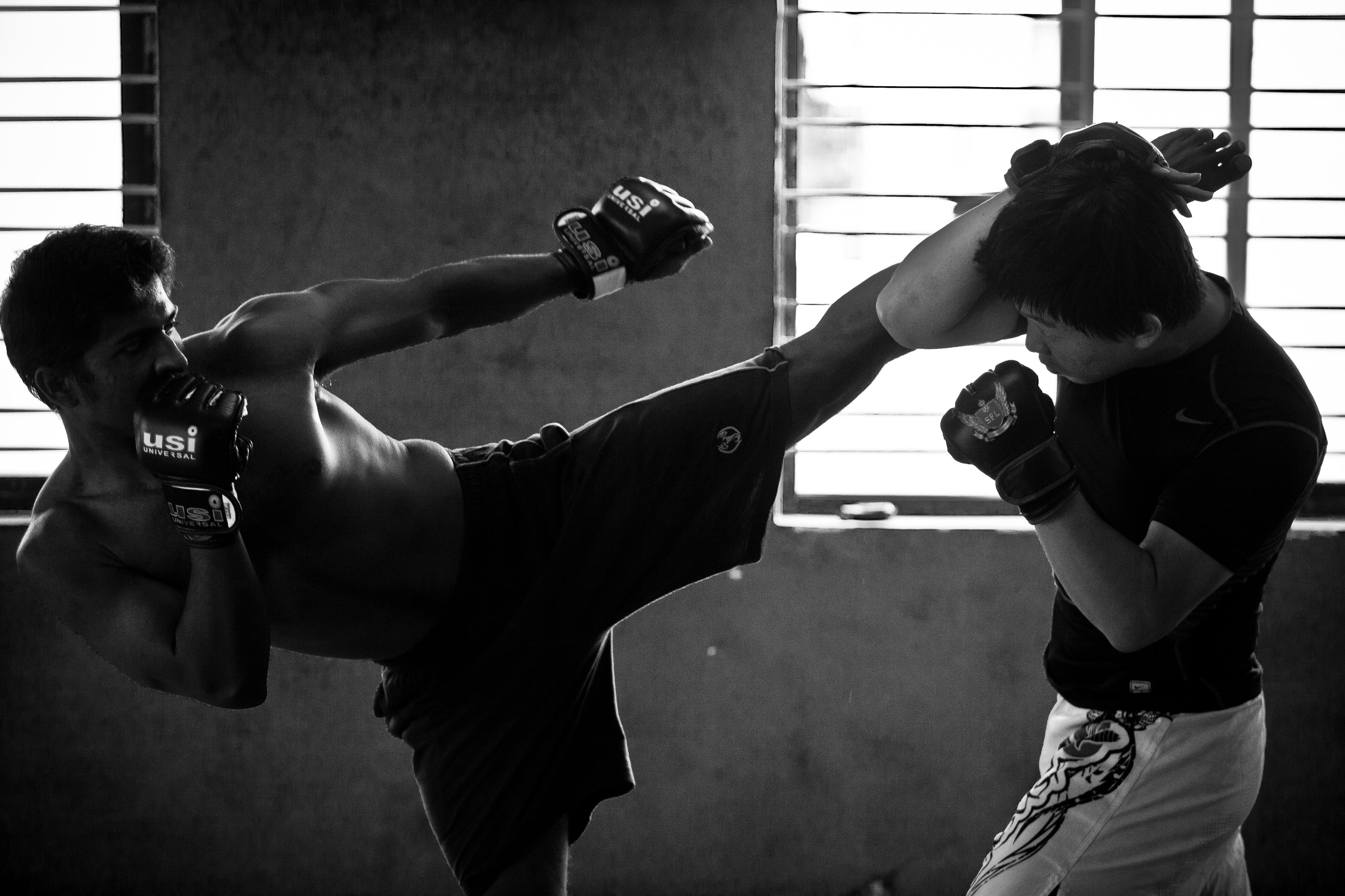 Фото черно белое боксеры